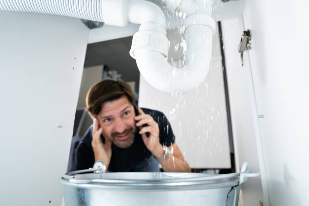 Best Plumbing Repair Near Me  in Chalco, NE
