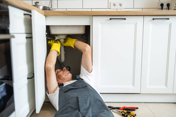 Best Clogged Drain Plumber  in Chalco, NE